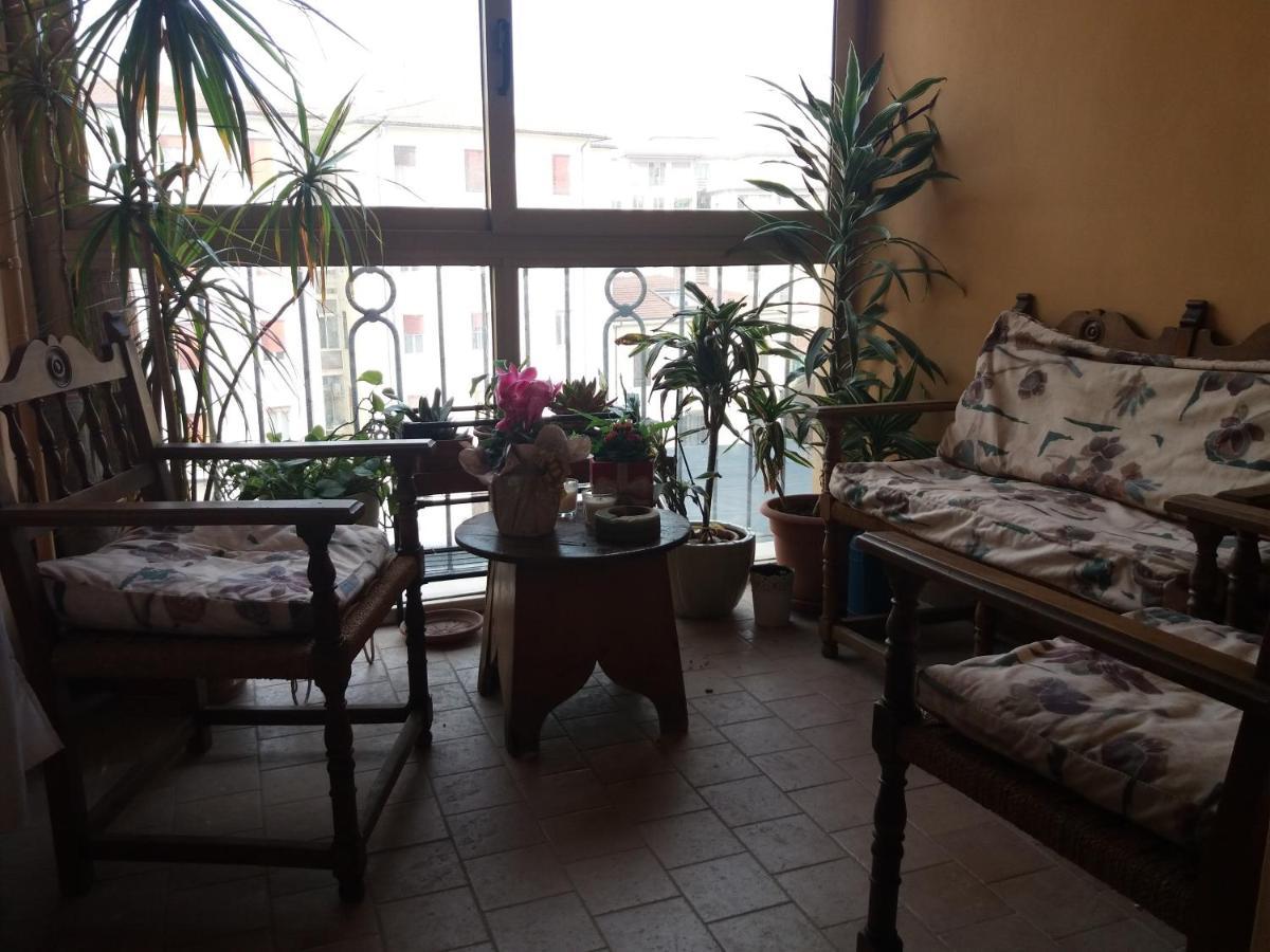 Basic Triple Room
