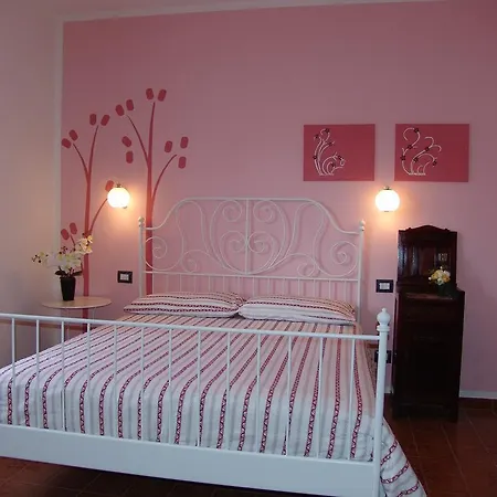 B&B Myosotis-3